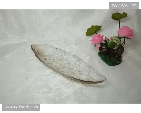 了解凯发网址娱乐的最新技术升级提升游戏体验的创新方案