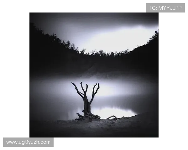 黑白体育：运动场上的光影变幻与黑白摄影的独特魅力